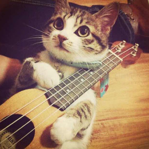 精品无码一区二区三区导演汪盈甄
