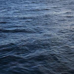 精品无码一区二区三区导演汪盈甄
